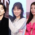 공유·공효진·수지 소속사, 악플 강경 대응…"단호히 대처" [전문]