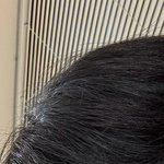 이정도면 머리 곱슬이야 아니야?