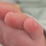 [이것좀봐줘] 부탁드려요 한분이라도 관심가져주세요