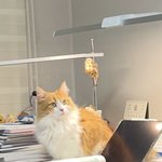 너무 이뻐서 <b>자랑</b>좀할게