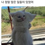 [혼자하는말] 나 좀 <b>안아</b>주세요. .힘들어요