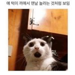 회사 화장실에서 적는 <b>인소</b>