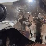 라이즈 성찬 하이브 남돌이랑 친목한거 찐이네 <b>사진뜸</b>