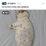 귀<b>필러</b>는 레전드 유난 아니냐