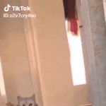 [하고싶은말] 여..<b>여보</b>..그게아니라,...