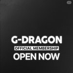 지디 <b>멤버쉽</b> 열렸다