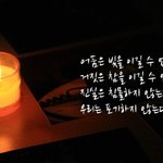 [촛불사기] 촛불이 역겨운 이유