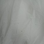 원룸에 오염 심한 세탁기 놓고 집주인이 나몰라함