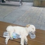 <b>특이</b>한 이름 적고가보셈