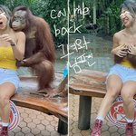 천생<b>연분</b>,