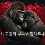 고백해도 될까?<b>love</b> <b>love</b>