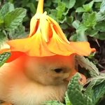 혐주의)<b>변비</b>판녀들 개꿀팁 전수할게