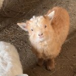 [댓글부탁해] 얘들아 나 교정해야 될까...? ㅠ