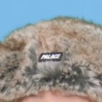 (묻재업)얘들아 이 <b>비니</b> 별로야?