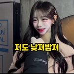 이런 <b>추구</b>미 뭐라고함?