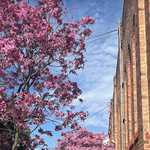 김희선, 16세 딸 <b>연아</b>와 '자매 같은' 투샷 공개 '엄마 닮아...