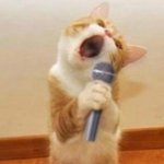 우