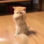 니