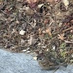 나 입툭튀+턱<b>발달</b> 같음?