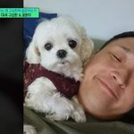귀엽다
