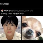 아개웃<b>기네</b>