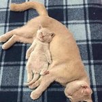 [댓글부탁해] <b>백두산</b> ㄹㅇ올해 터질까