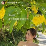 [모두드루와] 신수지, 화끈한 한뼘 비키니…청순 글래머