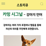 강아지 <b>언어</b>를 배워 볼께요