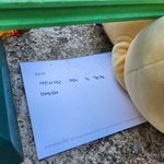 “아가 미안해, 아프지 말고 눈 감으렴” 대전 8세 <b>여아</b> 추모 행렬