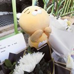 [댓글부탁해] [단독]오전 ‘교사 <b>분리</b>’ 의견 있었지만… 오후 비극...