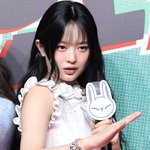 뉴진스 하니, 스스로 韓활동 비자 연장 신청 거절?…어도어 "확인해...