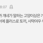 고양이상한테 또 <b>열폭</b>하네 ㅉㅉ