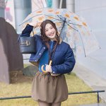 레드벨벳 크러쉬 조이, ‘과즙 고양이’ (<b>동물</b>농장 출근길) [HD포토]