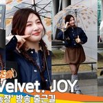 레드벨벳 크러쉬 조이, 안개를 걷히는 화사한 미모 (동물농장 출...