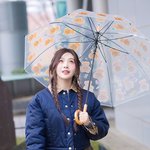  ‘비가 내리고 음악이 흐르면’ (<b>동물</b>농장 출근길) [HD포토]