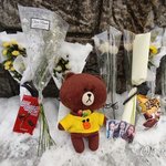 하늘이가 떠난 학교... 추모, 국화 그리고 아이브 장원영 포카