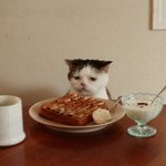 [드루와] 생각보다 부자될 사람들은 잘 없는듯