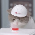 아 망했다 <b>관심</b> 있는
