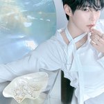 얼굴로 <b>승부</b> 보는 것 같은 제베원 컨포