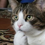 [모두드루와] 지금 돌판에 필요한건 쌩라이브 음<b>방임</b>