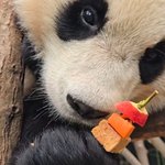 [19] 한달동안 <b>채식</b>하다 실패하고 고기먹음 ....