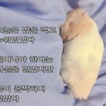 [드루와] <b>변비</b> 있는 애들아 꿀팁전수함