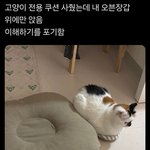 신경치료 오늘로 벌써 5번째
