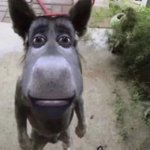 [드루와] 한녀들 <b>착즙력</b> 기네스북감이야