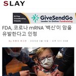 형이 코로나는 <b>지구</b>적 사기라 햇지?