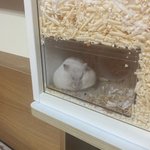 [드루와] 얘들아 너네 할머니할아버지도 이럼??ㅠ