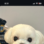 [드루와] 짝<b>남</b> 뭐하는지 보고 싶은데