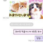 엄마한테 보낸 <b>카톡</b> ㅁㅌㅊ