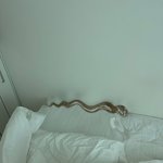 [댓글부탁해] 요즘 선바 <b>도네</b>읽음?