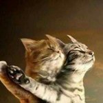 [하고싶은말] 타이타냥